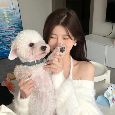 大象家族